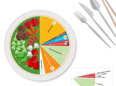 Combatte la fame e i cambiamenti climatici: ecco la dieta di salute planetaria foto 3