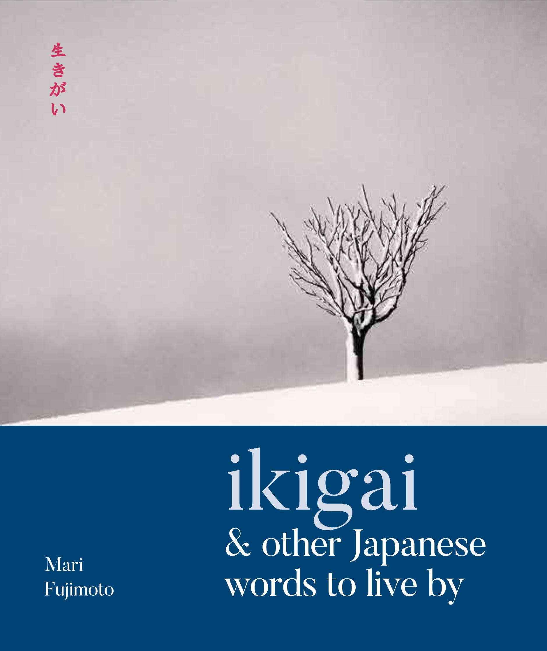 «Ikigai» e altre parole giapponesi per vivere meglio foto 9