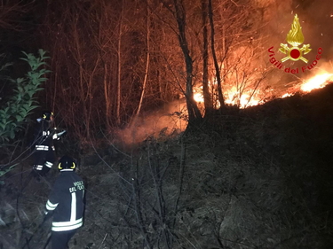 Varese, incendio sul monte Martica: 100 ettari di bosco in fiamme foto 1