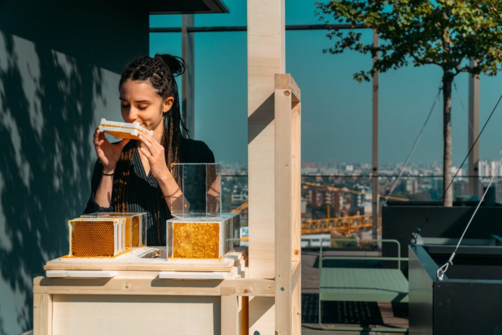Salvare le api per salvare noi: le startup da tenere d’occhio degli apicoltori under 30 – Il video
