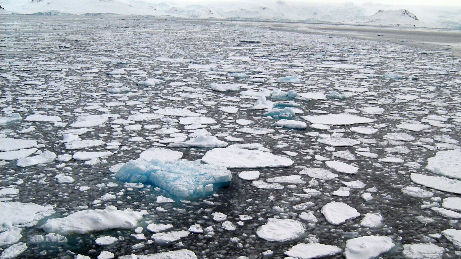 Scientists warn: “Soon the North Pole will be free of ice.”  There are fears of “serious consequences” in Europe