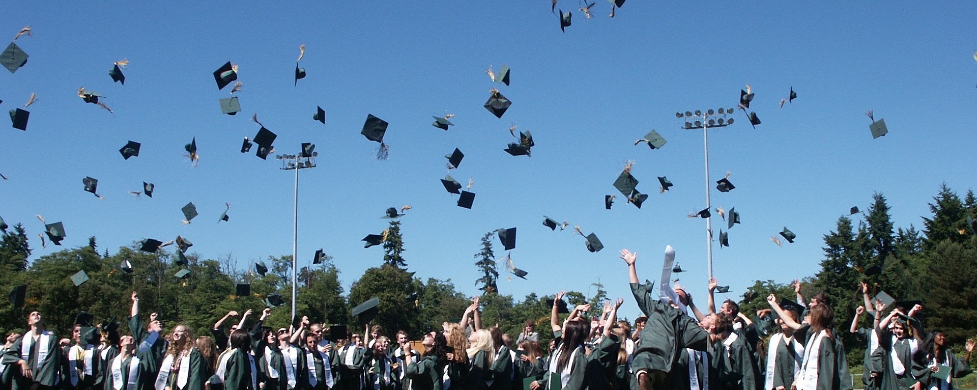 laurea