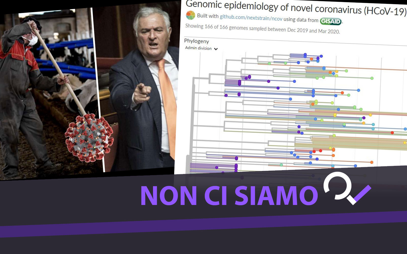 Quanto è plausibile l’ipotesi di un «virus Padano»? Molto poco, ecco perché – Il video