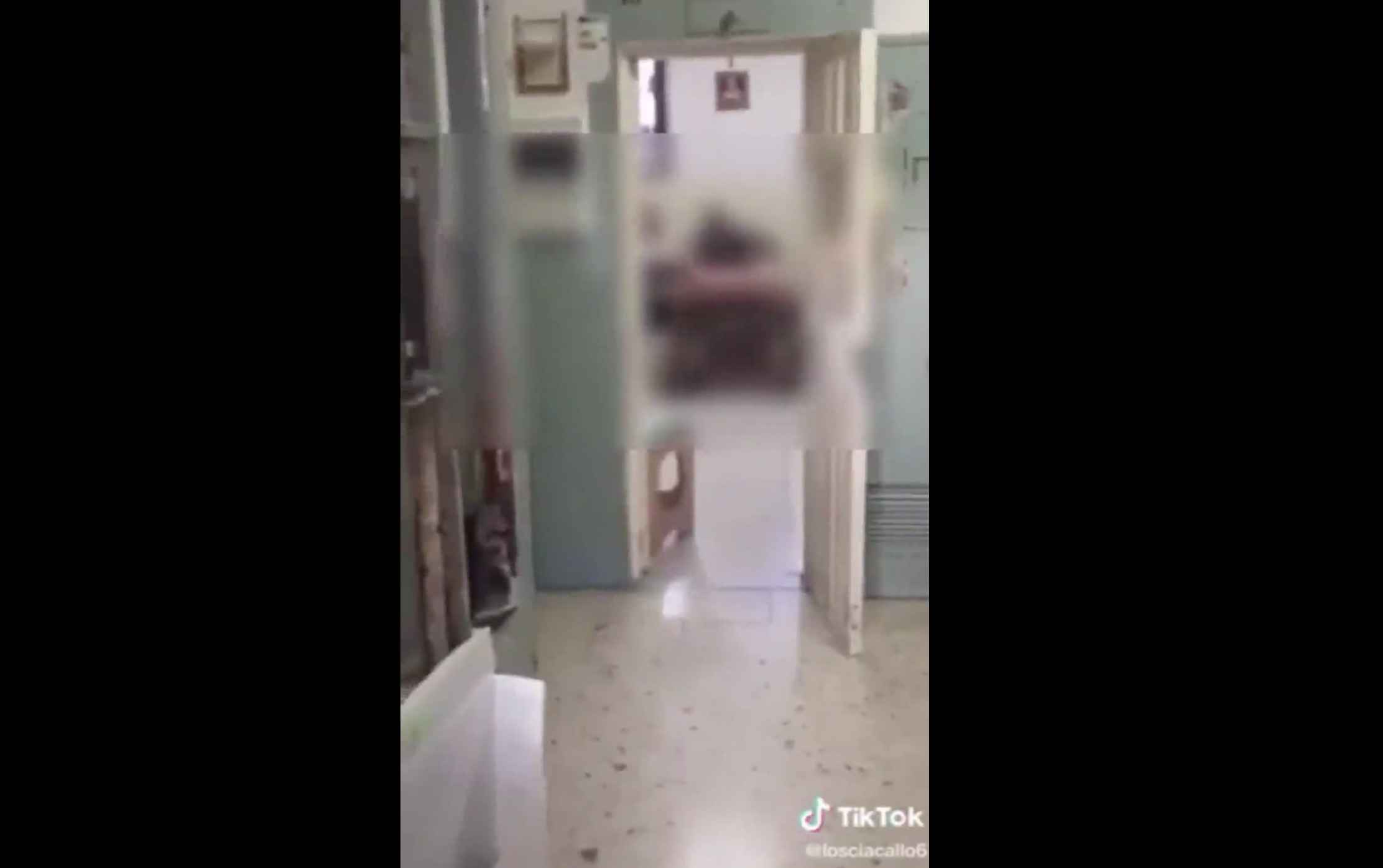 Dal carcere a Tik Tok, lo sfregio dei camorristi che pubblicano clip musicali in cella – Video
