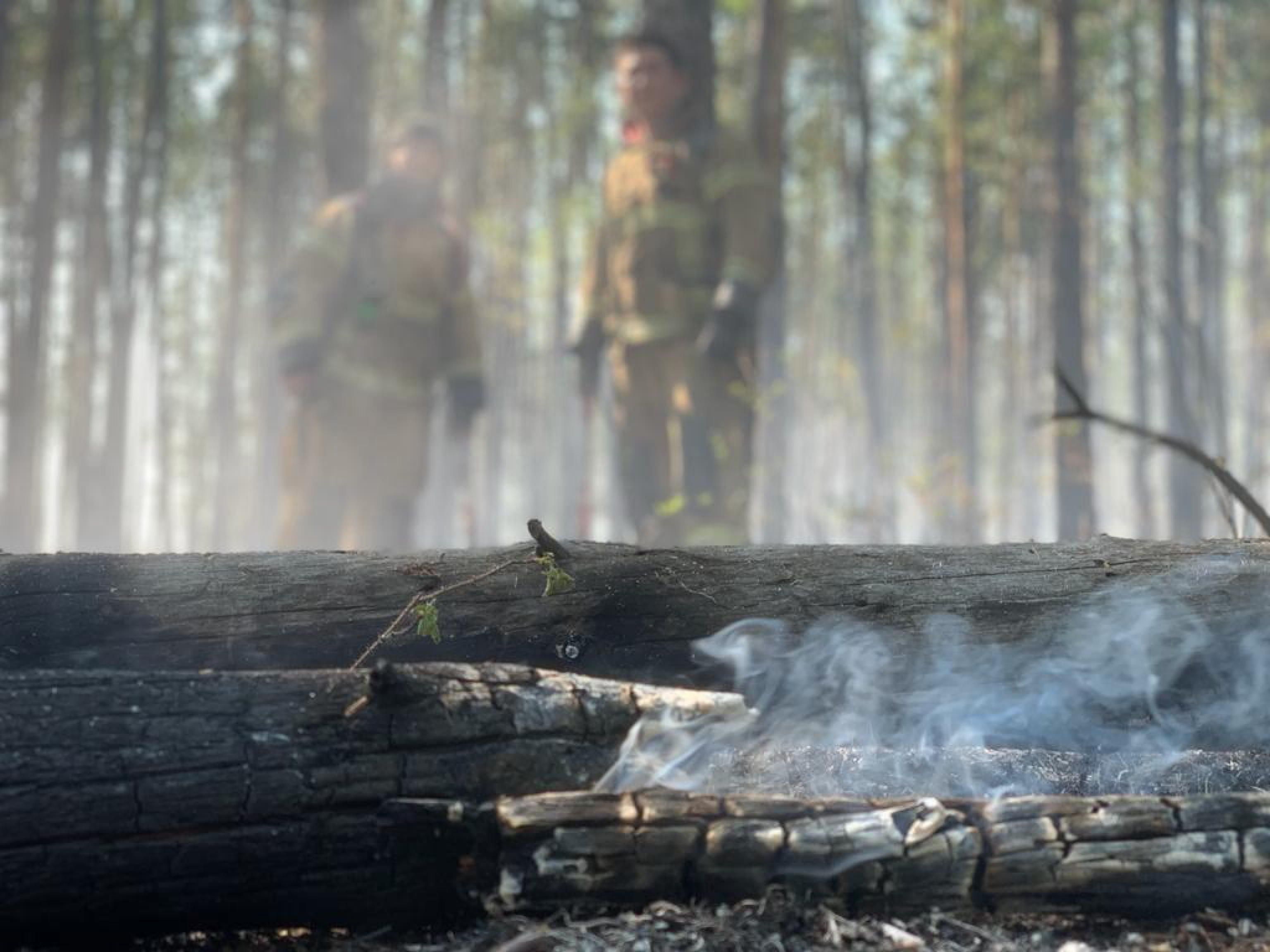 Nella Siberia artica temperature record: +10 gradi sopra la media mensile. E  aumentano anche gli incendi - Open