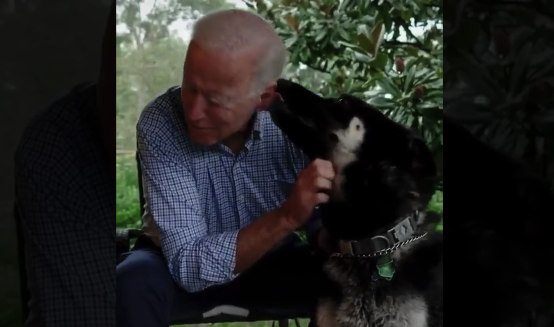 Biden porta alla Casa Bianca Champ e Major, il primo cane adottato da un presidente americano – Il video
