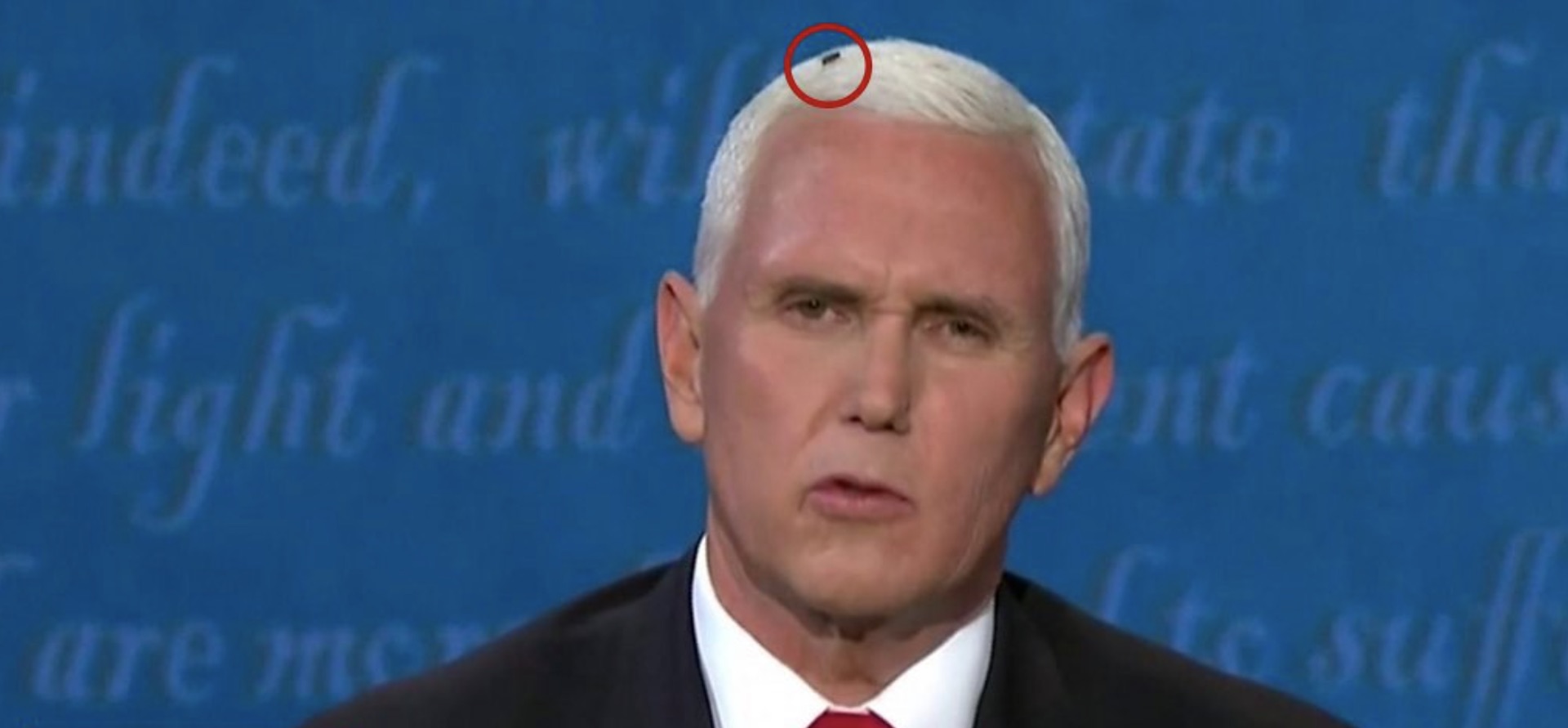 La protagonista del dibattito Pence-Harris? &Egrave; stata la mosca sulla testa del vice di Trump &ndash; Il video