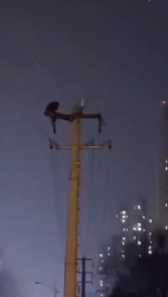 Cina, sale su un palo della luce per fare gli addominali dopo un litigio ma provoca un blackout: arrestato – Il video