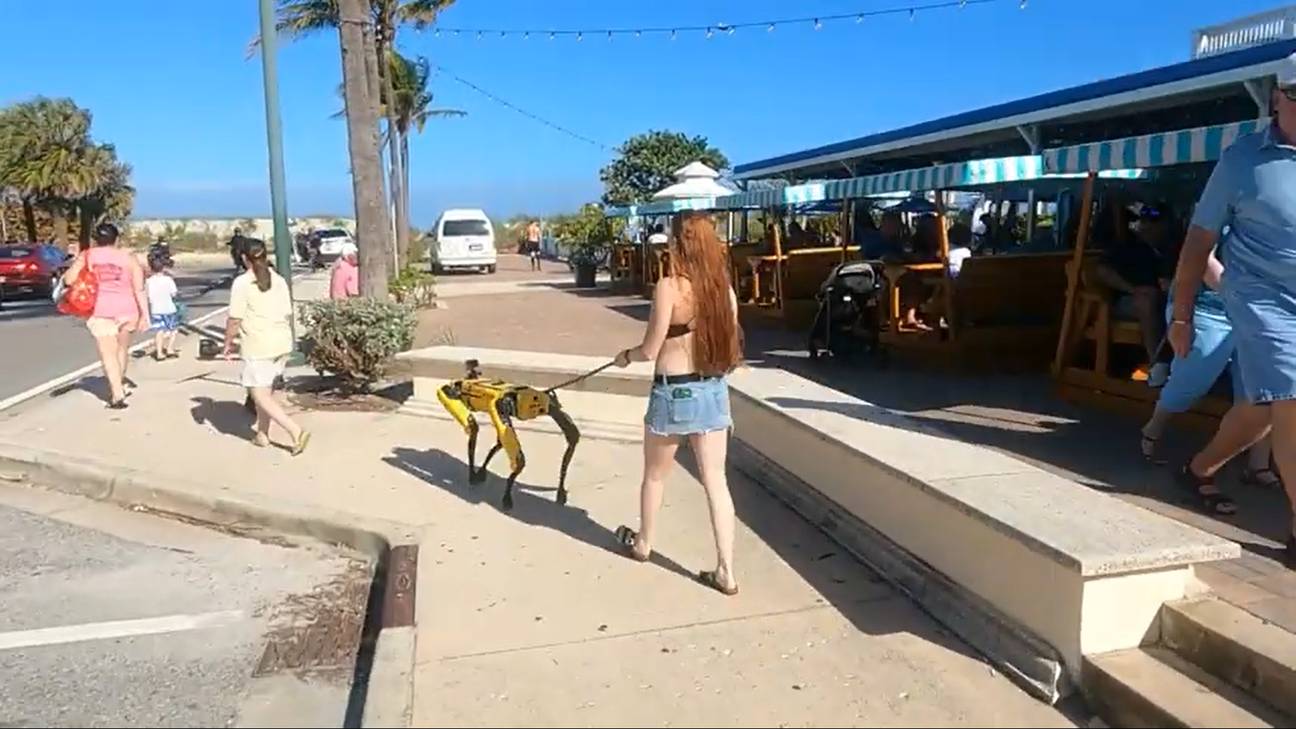 ‘Le avventure di Scrappy’, il canale YouTube che racconta l’America del cane-robot Spot – Il video