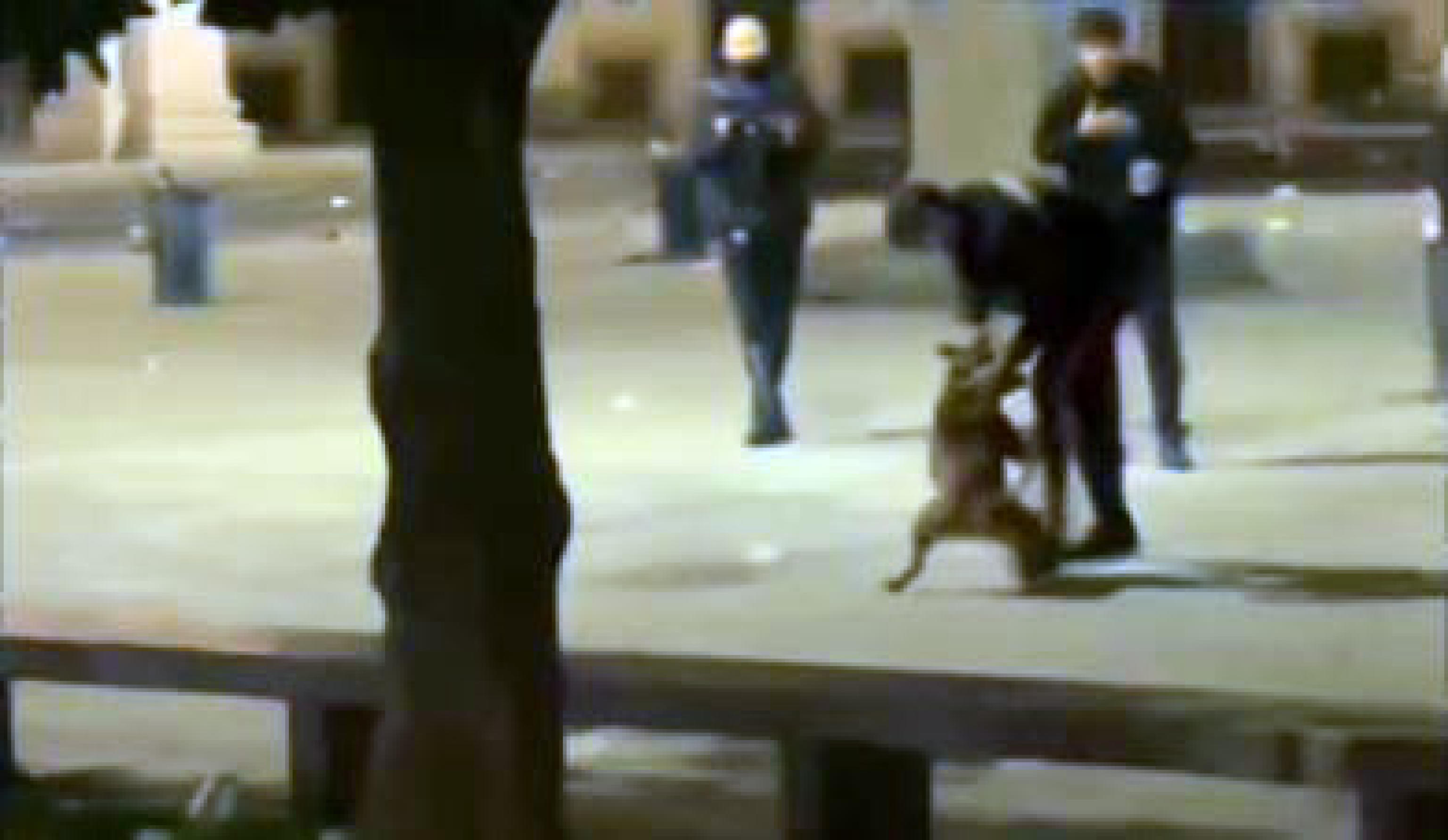 Ha scagliato il suo pitbull contro un carabiniere, che è stato morso più volte prima al braccio destro e, poi, a entrambe le gambe. Dopo aver tentato in ogni modo  di divincolarsi dal cane, il militare aggredito ha sparato 2 colpi
contro l'animale che, ferito, si è allontanato. Il 22enne, marocchino e con precedenti, che ha aizzato il cane contro il militare, è stato arrestato per rapina, resistenza e violenza a pubblico ufficiale. Il militare è ricoverato in osservazione al Policlinico di Milano. E' successo intorno all'una della scorsa notte a Milano, alle colonne di San Lorenzo,  Milano, 28 maggio 2021.
TWICH
+++ATTENZIONE LA FOTO NON PUO' ESSERE PUBBLICATA O RIPRODOTTA SENZA L'AUTORIZZAZIONE DELLA FONTE DI ORIGINE CUI SI RINVIA+++  ++HO NO SALES EDITORIAL USE ONLY++