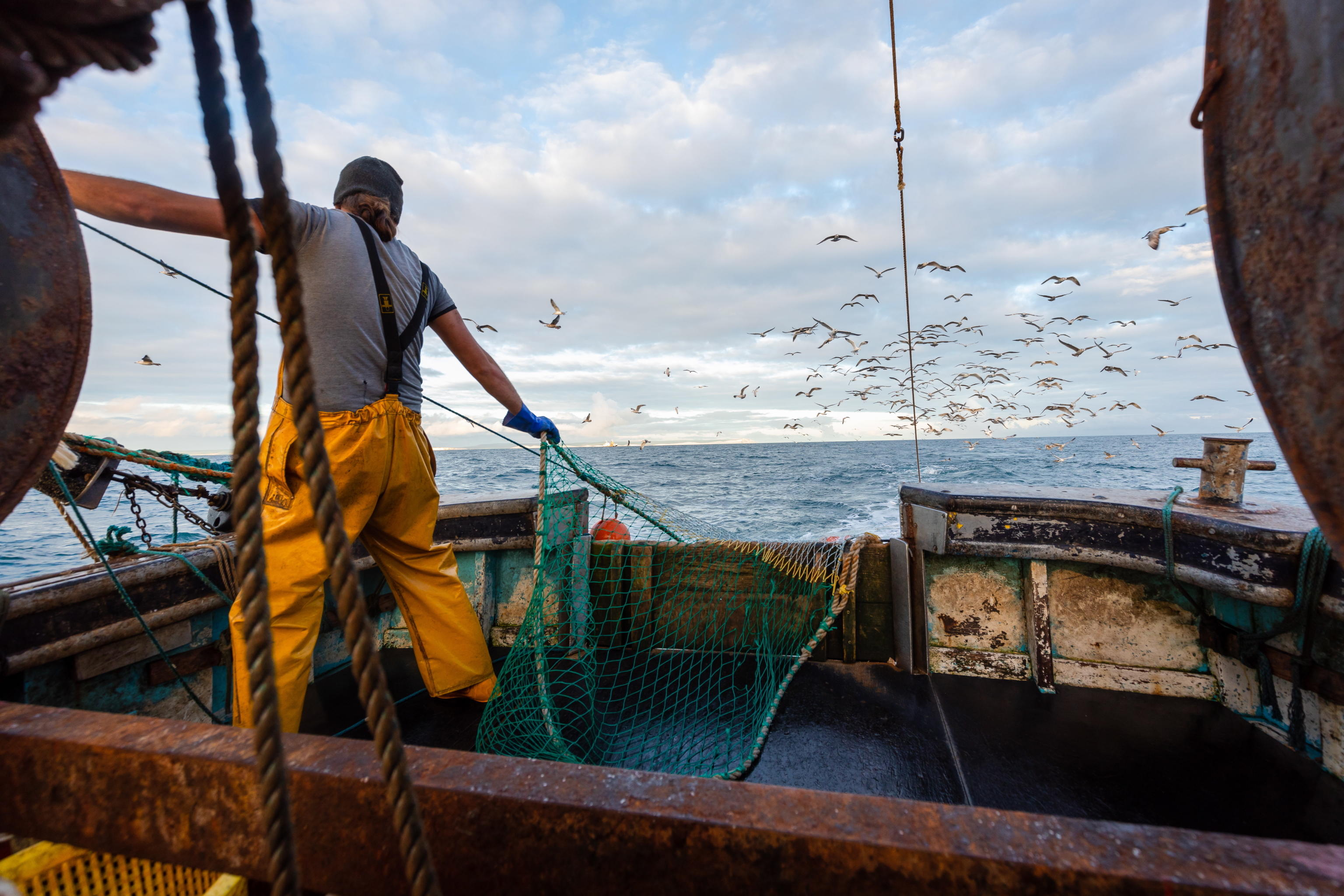 epa08815542 Crew member Nathan Harman pulls up the nets following the second catch of the day on board the fishing trawler 'About Time' in the English Channel, off the south coast of Newhaven, East Sussex, Britain, 10 November 2020 (issued 12 November 2020). Skipper of the wooden-hulled vessel About Time Neil Witney, has been fishing in the English Channel since the mid-1980s and has watched the local industry shrink over the decades. Like many in the trade, he sees Brexit as an opportunity to revive the sector. 'Hopefully at the end of the year we can get some sort of deal, get our waters back, get control of our quota and then hopefully rebuild our industry and the rest of the maritime industry that goes with it,' he said. Fishing has become a major sticking point in the Brexit negotiations. An agreement on the issue is a prerequisite for a future trade deal between the UK and the European Union which, in theory, should be in place by end of the year. Under the current common fisheries policy, EU vessels have access to fishing grounds in the Exclusive Economic Zones of other member states, although quotas on hauls are negotiated every year. Once outside the EU, the UK will have full control over its EEZ, which stretches 200 nautical miles into the North Atlantic. But while Brussels and London pore over the details of a future deal, Witney cracks on with his job. Fishing from small trawlers is extremely weather dependent and he estimates that he is able to head out on between 150 to 180 days per year. Each time, he aims to make two catches, which means his shift can last up to 14 hours. On a typical day, he expects to catch around 30 different species of fish which, subject to quotas and marketability, will all be kept. 'We used to be able to fish for sprats, herrings, mackerel here but this year we've seen a lot of tuna, but we've got no quota for tuna or horse mackerel and we've lost all the market for things like sprats so at the moment it's almost uneconomical