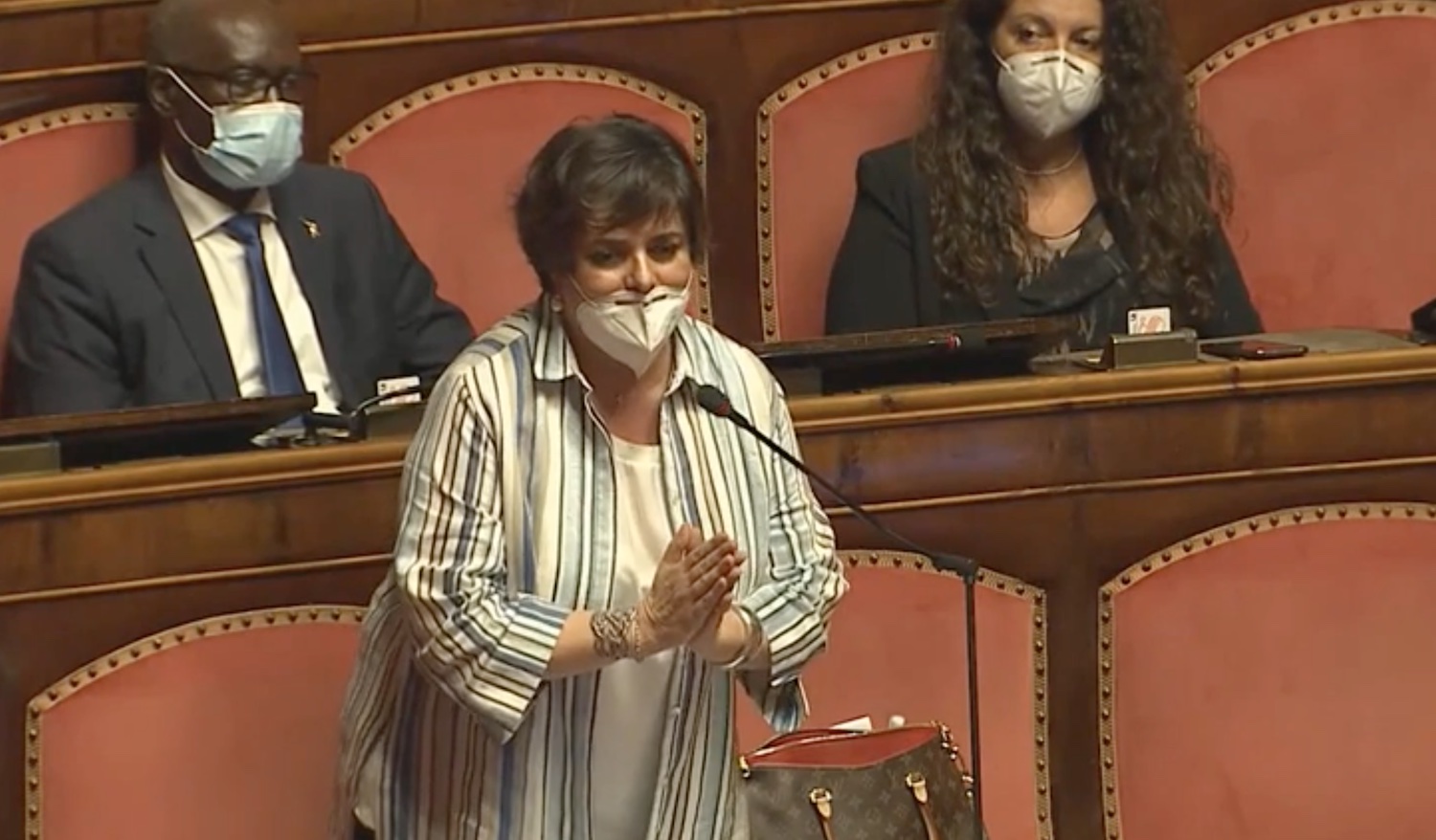 La senatrice della Lega Faggi contro il ddl Zan