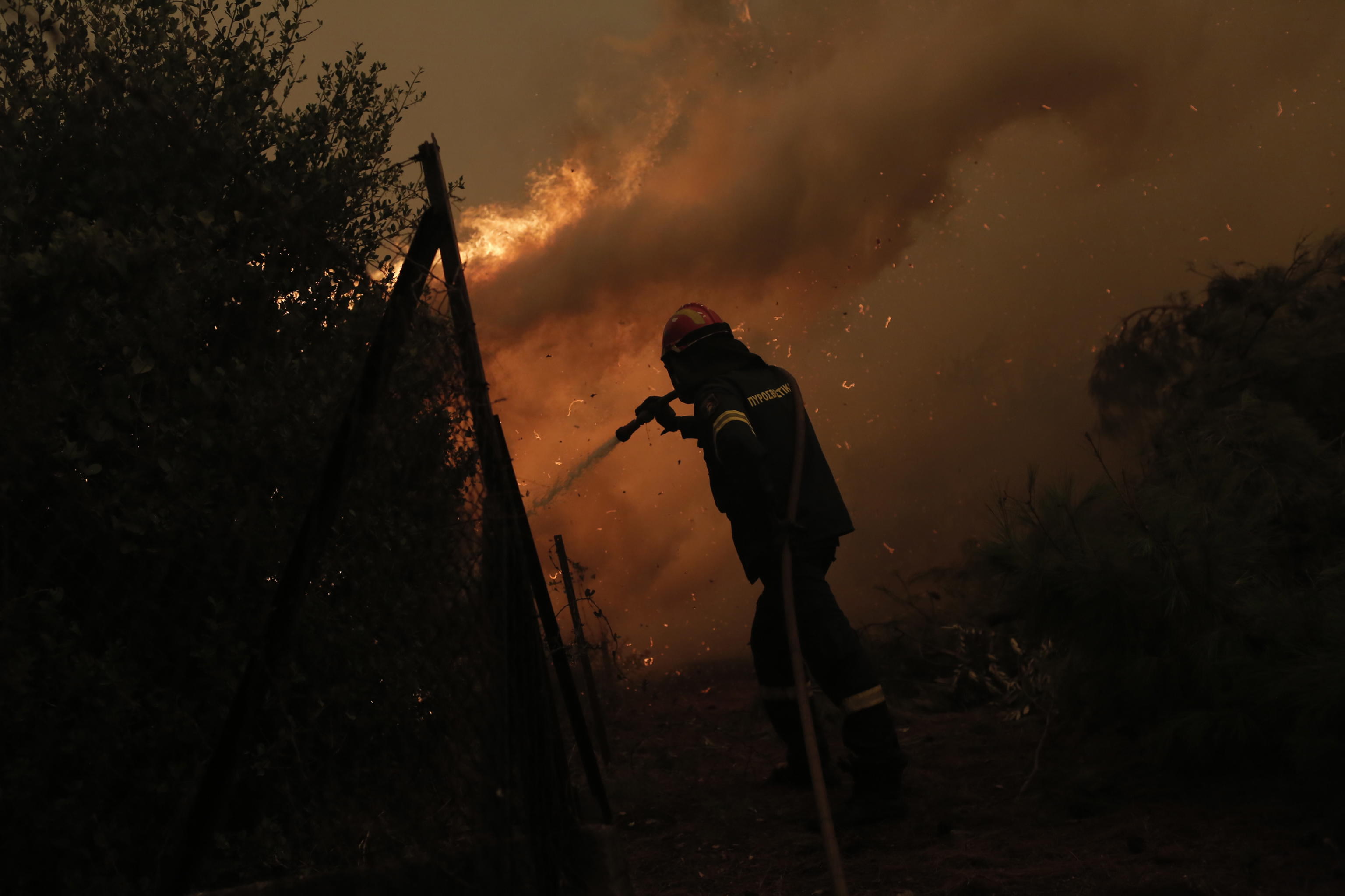 epa09406424 Firefighter Nektarios Iakovakis battles flames during a wildfire at the village of Pefki in the Evia, Greece, 08 August 2021. Fires that broke out in Attica and Evia island this week have burned more than a quarter of a million stremmas, the National Observatory of Athens' center Beyond said on 08 August. Some 76,150 stremmas (7,615 hectares) have been burnt so far in northern Attica. At Evia island the surface area of burnt land is measured at 197,940 stremmas (19,794 hectares). These figures concern only the fires in Attica and Evia, but dozens of large fires have affected several areas across the country.  EPA/KOSTAS TSIRONIS