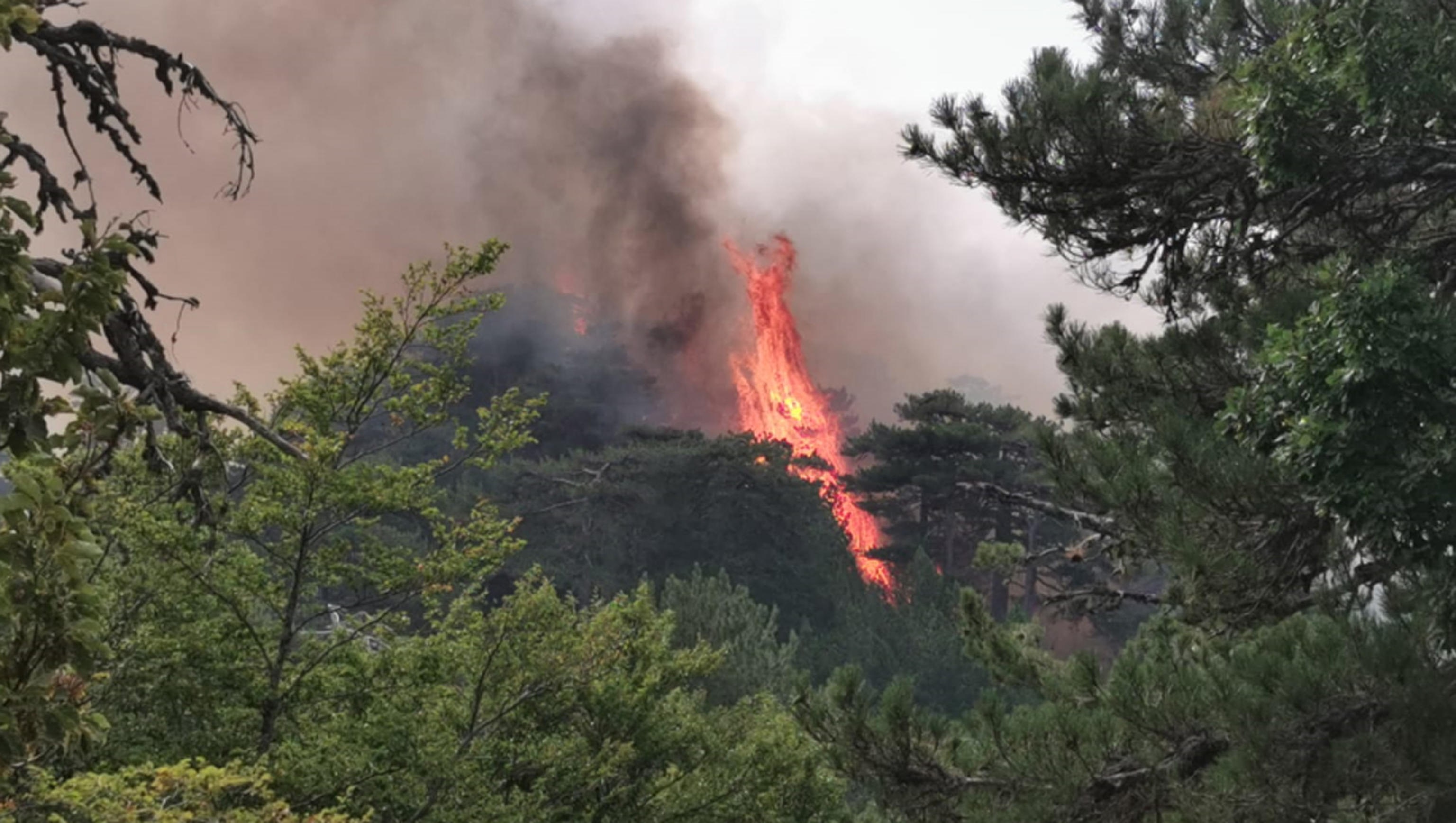 Fiamme intorno al santuario di Polsi, nel comune di San Luca (Reggio Calabria), 11 agosto 2021.ANSA/MANUELA TULLI