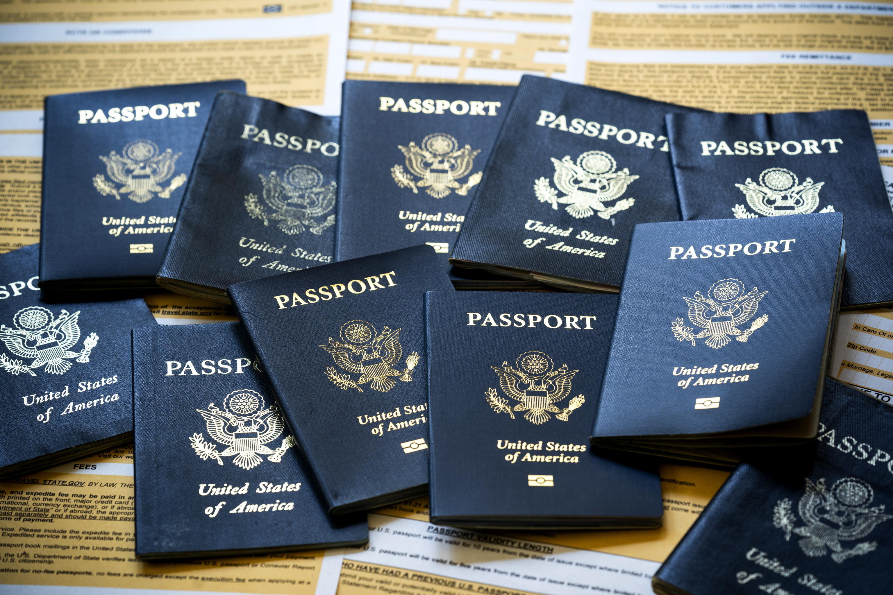 Passport issued. Who Issues Passport.