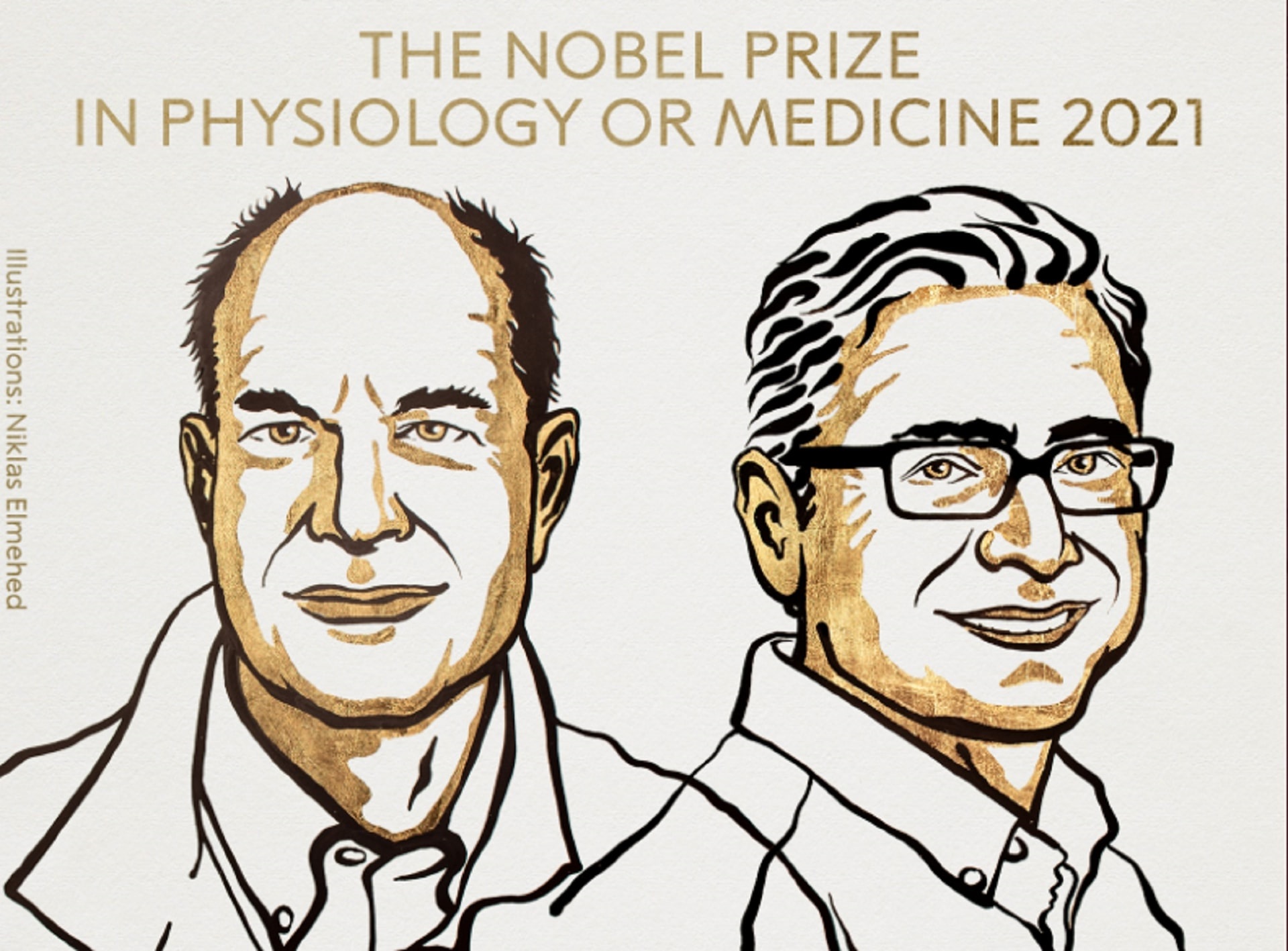 Nobel per la medicina a David Julius e Ardem Patapoutian: hanno scoperto i recettori del caldo e del freddo