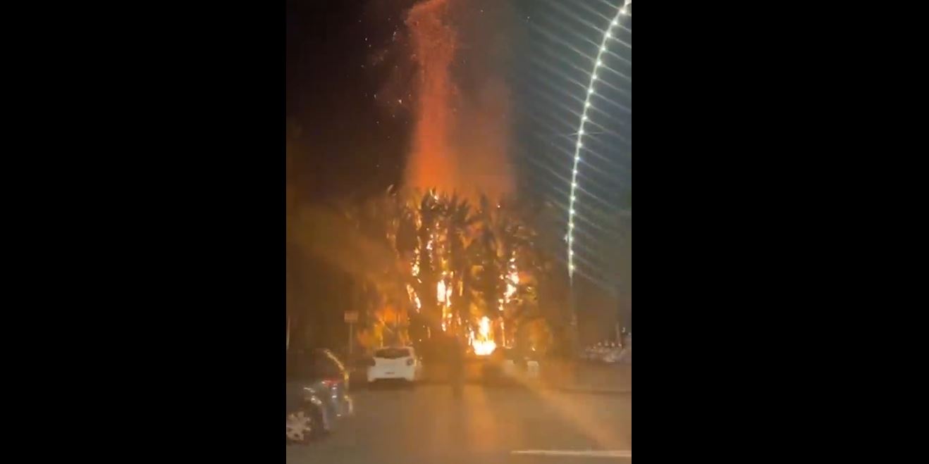 Napoli, enorme incendio nella villa Comunale: distrutti gli alberi secolari – Il video