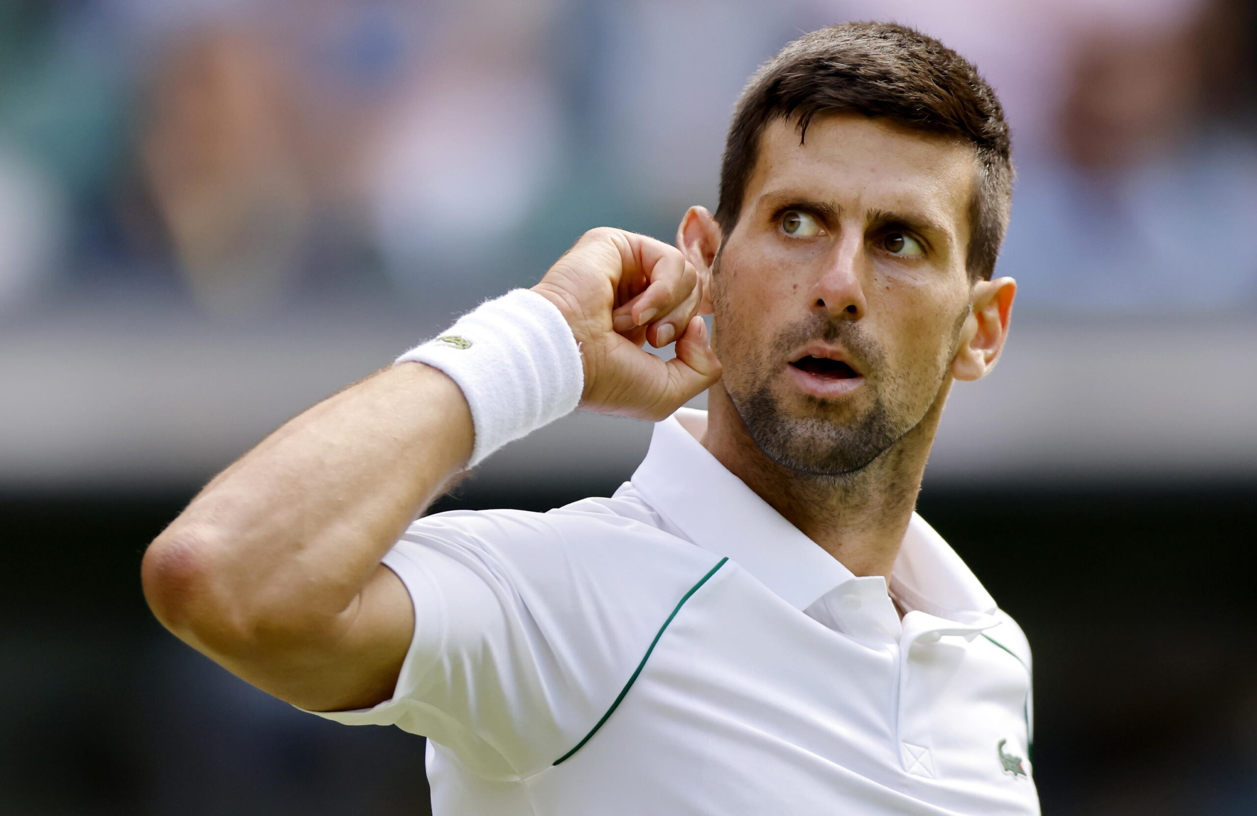 Tennis Impresa Sfiorata Di Sinner A Wimbledon Contro Djokovic Sfuma