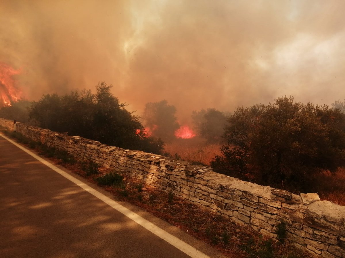 Maxi-incendio nella pineta di Castel del Monte, evacuato il sito Unesco e le ville vicine: le fiamme minacciano il monumento – Il video