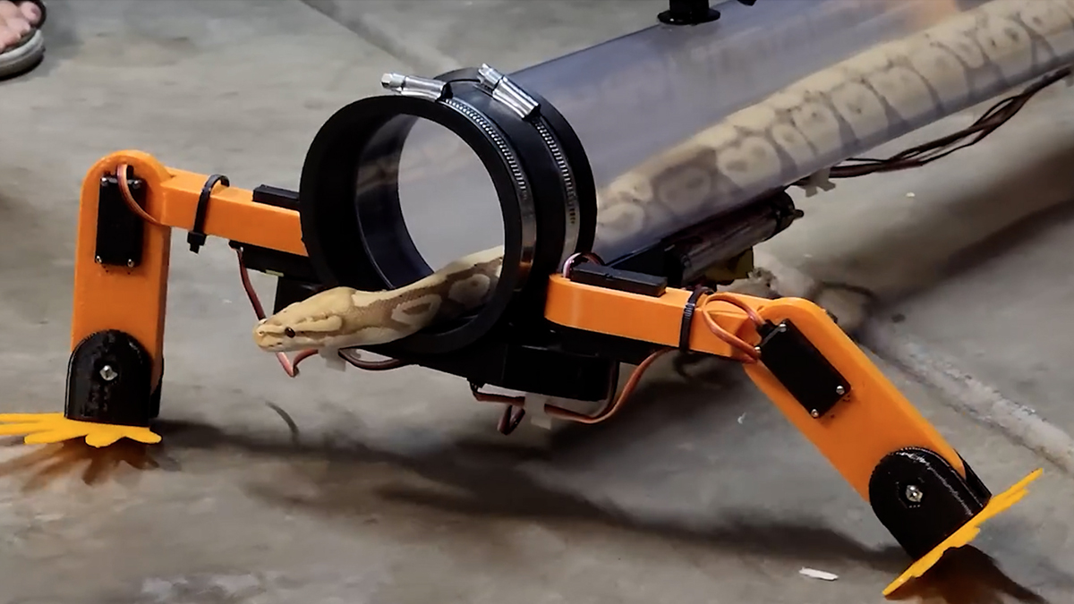 YouTuber’s Crazy Idea: Build a robotic exoskeleton for a snake to walk.  And it works (but under human control) – video