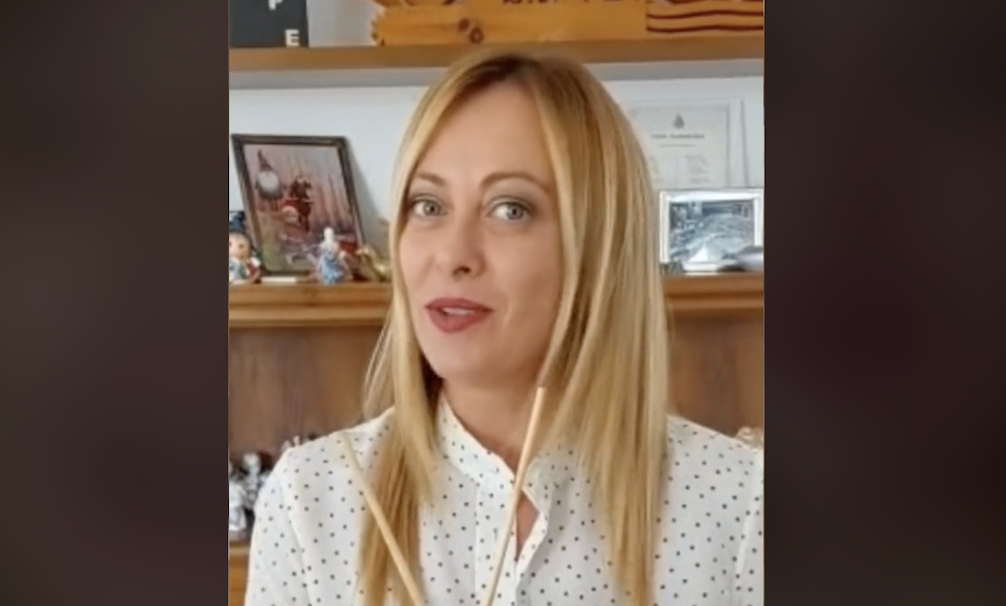 meloni giappone tiktoker