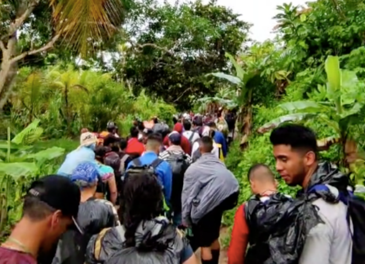 TikTok è diventato uno strumento di informazione per i migranti che attraversano la giungla per arrivare negli Usa – I video