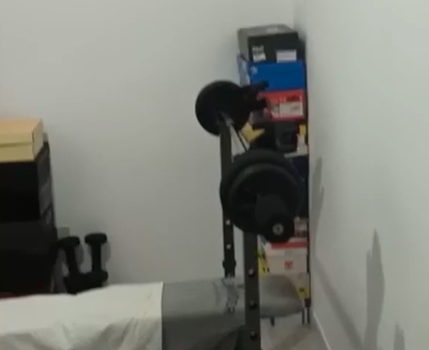 Dentro la casa di Messina Denaro, dai peluche alla palestra: com’era l’appartamento subito dopo l’arresto – Il video
