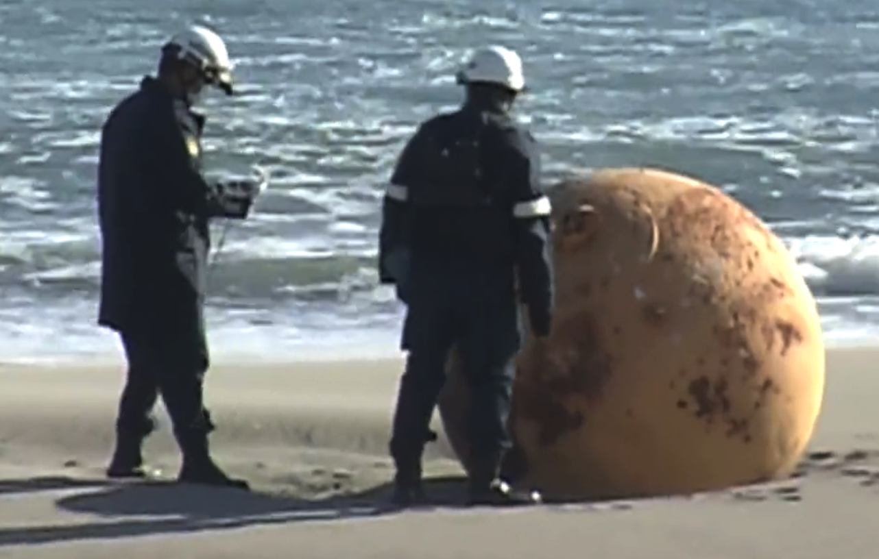 Giant ball removed from the beach in Japan, experts unravel the mystery