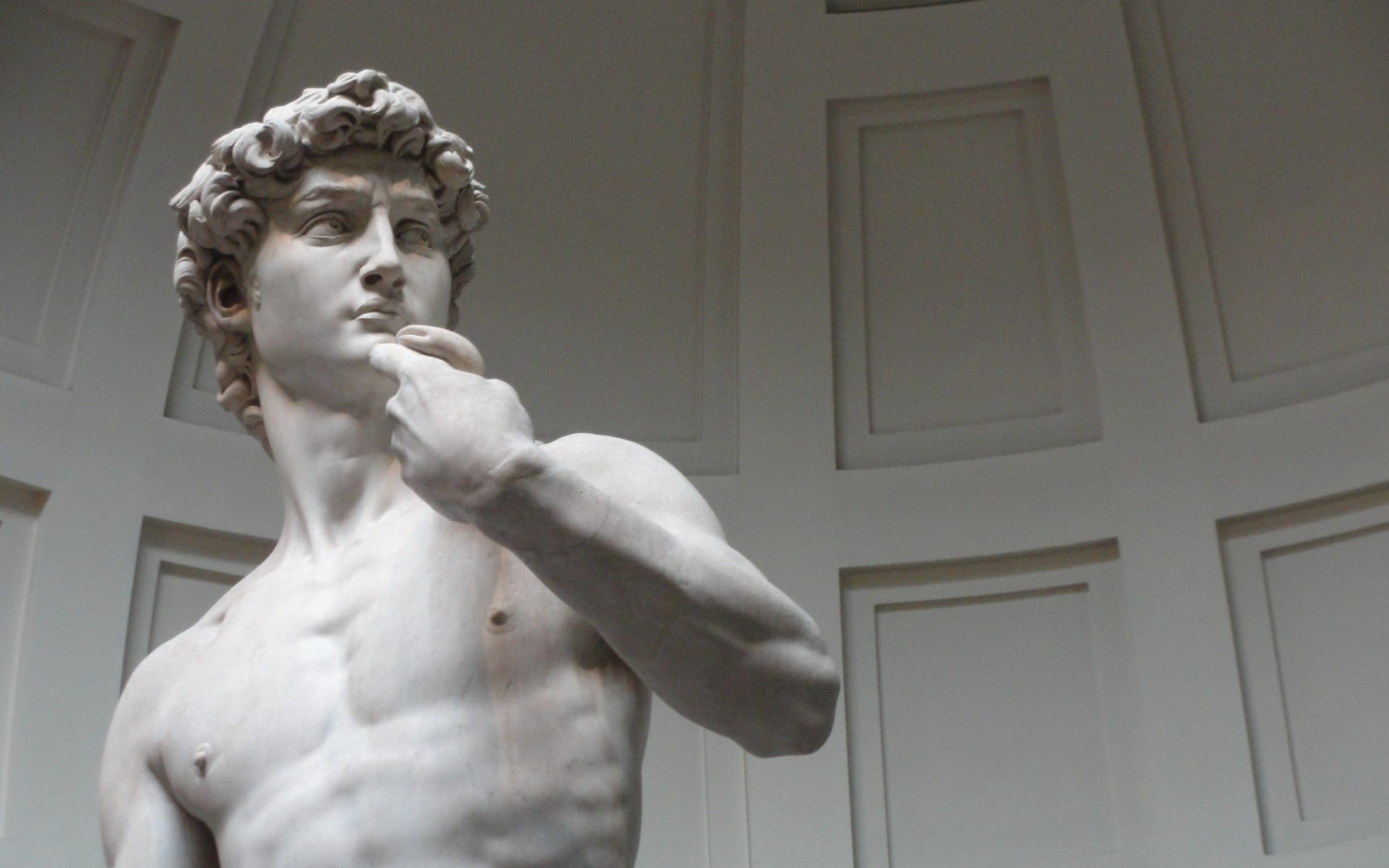 DAVID MICHELANGELO 