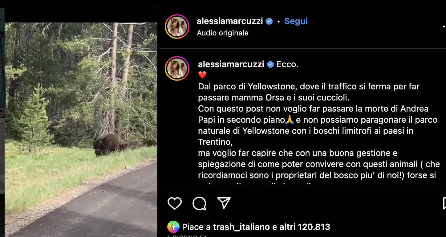 Alessia Marcuzzi dalla parte degli orsi del Trentino: «A Yellowstone attraversano la strada tra le auto, no alla vendetta» – Il video