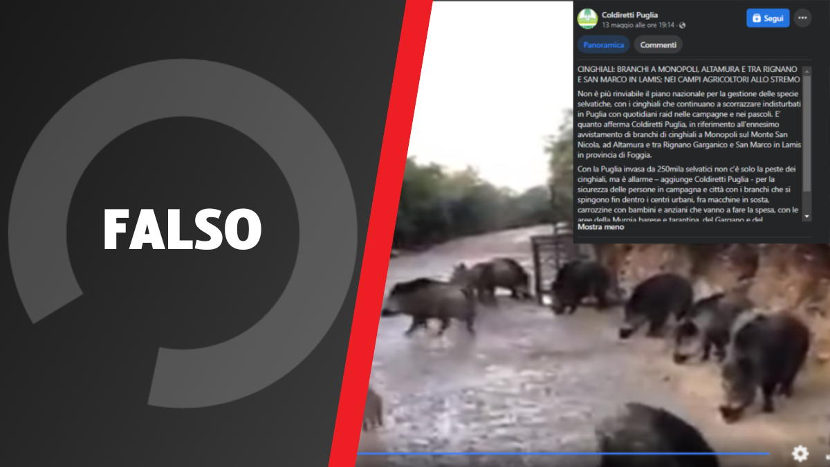Questo video non mostra la stazione di Bologna allagata