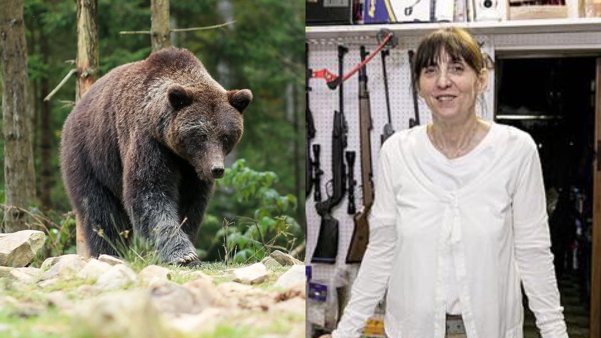 In Trentino è caccia allo spray anti-orso, ma è illegale. L'armiera:  «Comprate le pistole scacciacani» - Open