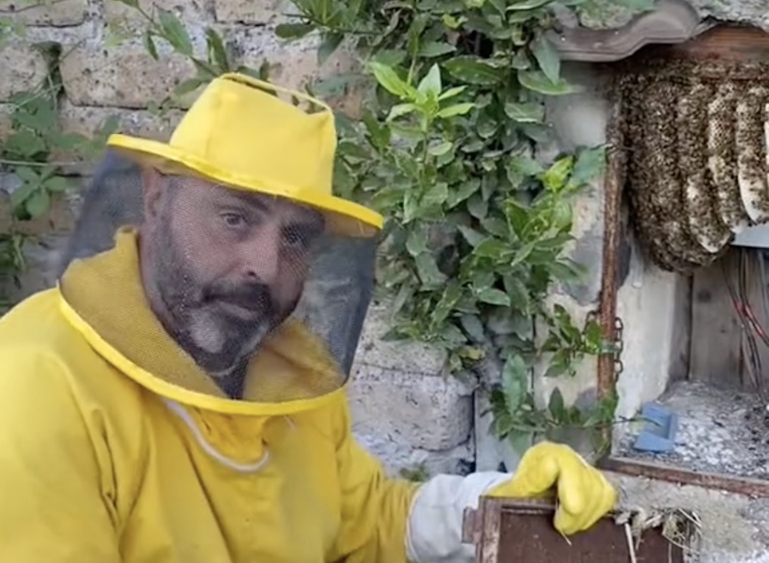 Assalito da uno sciame di api quando apre lo sportello, lo spavento di un anziano vicino a Roma. L’avvertimento dell’esperto – Il video