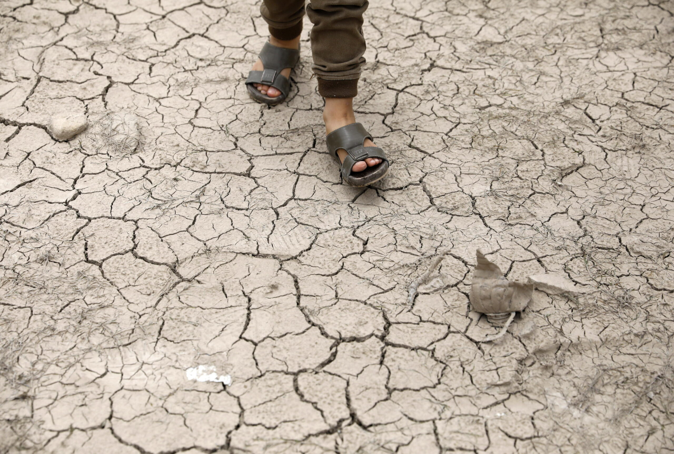 Springer Nature se retracta de un estudio de cuatro italianos que niega los efectos de la crisis climática