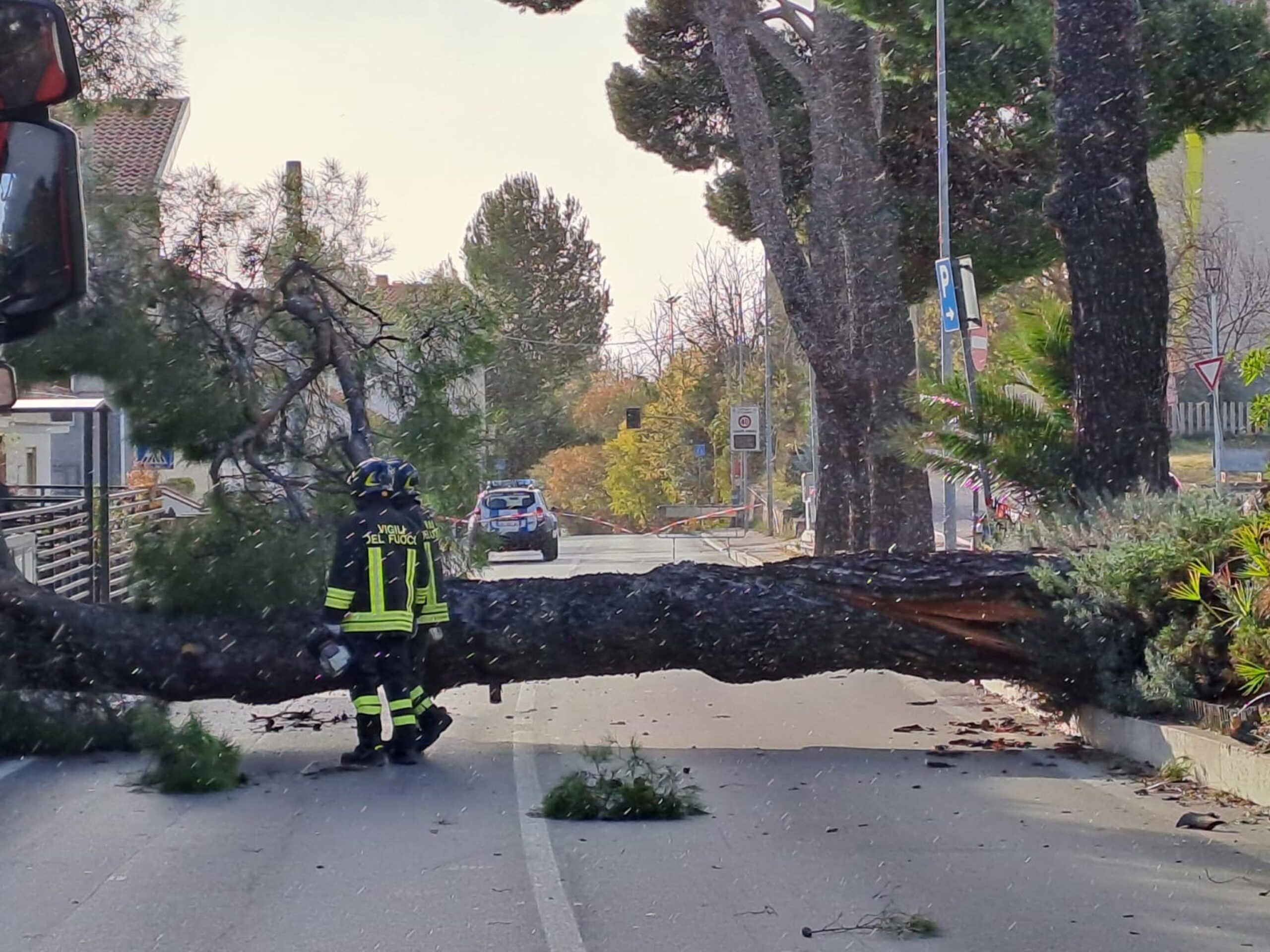 Vento fortissimo su tutta la costa adriatica abruzzese da ieri sera, con numerosi interventi dei vigili del fuoco per alberi e rami danneggiati, 02 dicembre 2023. Rischio tragedia invece a Spoltore dove un grosso pino è crollato sulla strada in pieno centro cittadino piombando per fortuna sullo spazio tra due abitazioni. L'albero che ha almeno 50 anni ha tagliato la strada bloccandola e danneggiando un muro di recinzione: poco più in là sarebbe caduto sulle abitazioni.
ANSA