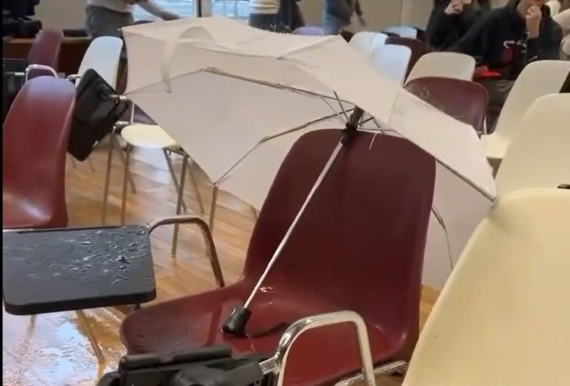 Roma, all’Università La Sapienza piove in aula, l’ombrello e l’ironia degli studenti della T1 – Il video