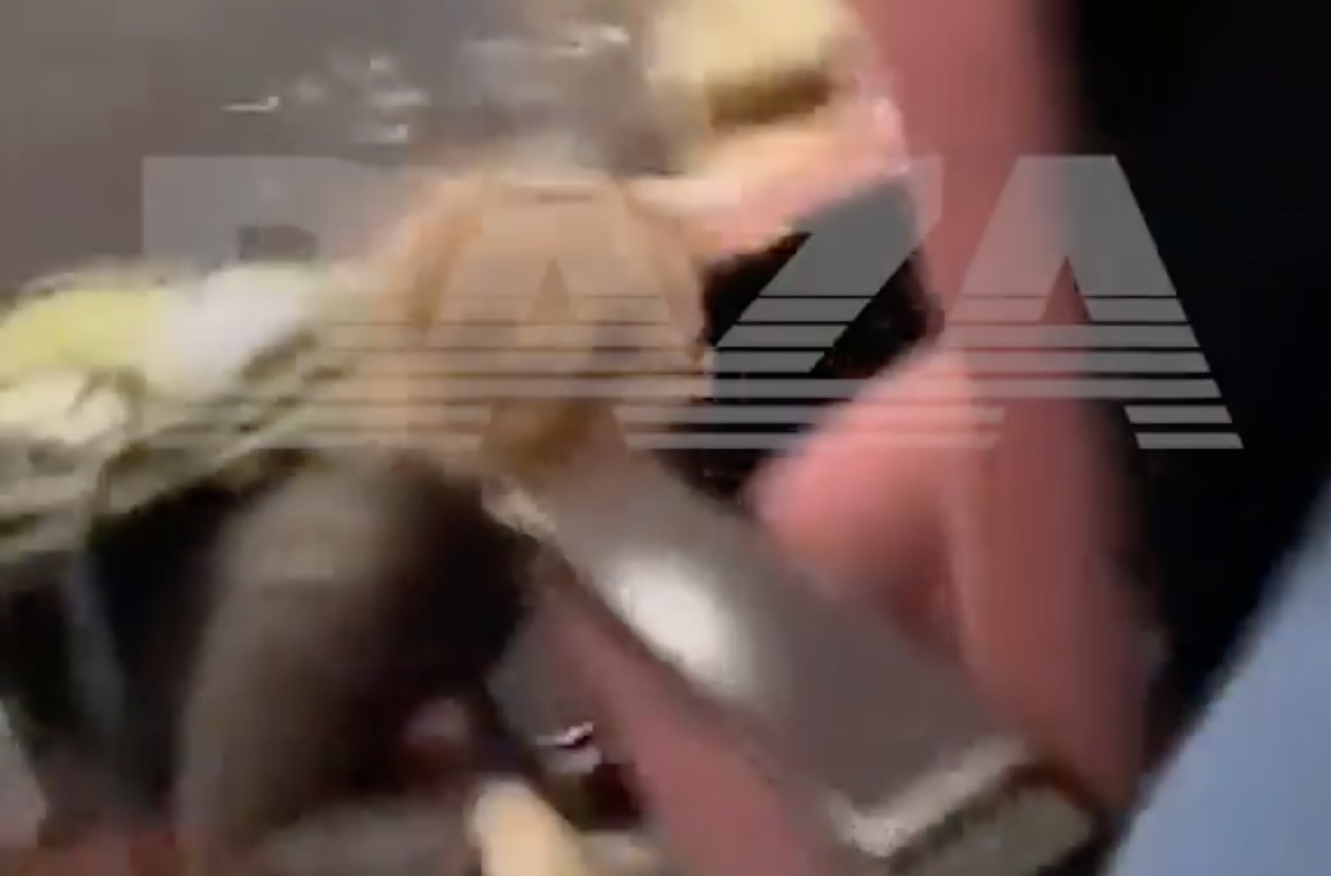 L’inizio della sparatoria a Mosca, la raffica di mitra sulla folla: il panico in sala prima del concerto – Il video