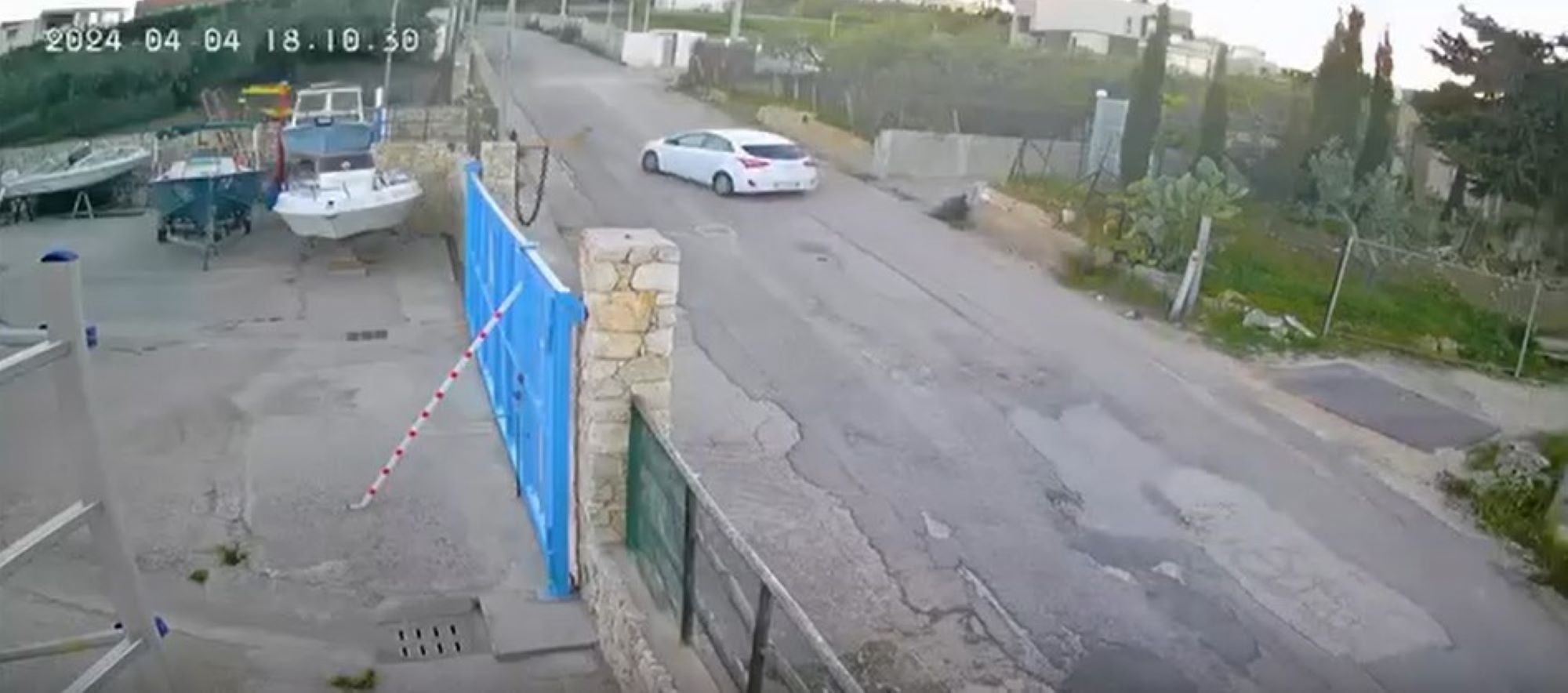 «Investita, trascinata e uccisa volontariamente». Così è morta la cagnolina Nina ad Alcamo – Il video