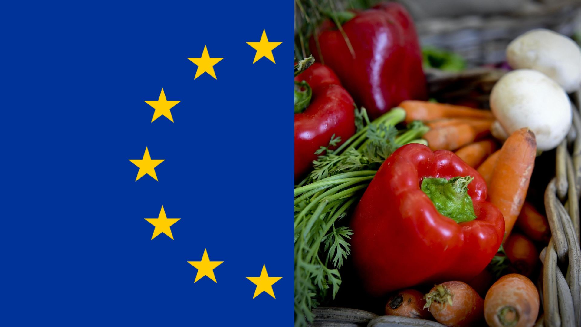 Ecco perché è falso sostenere che «l’Unione Europea è contro il cibo italiano e la dieta mediterranea»