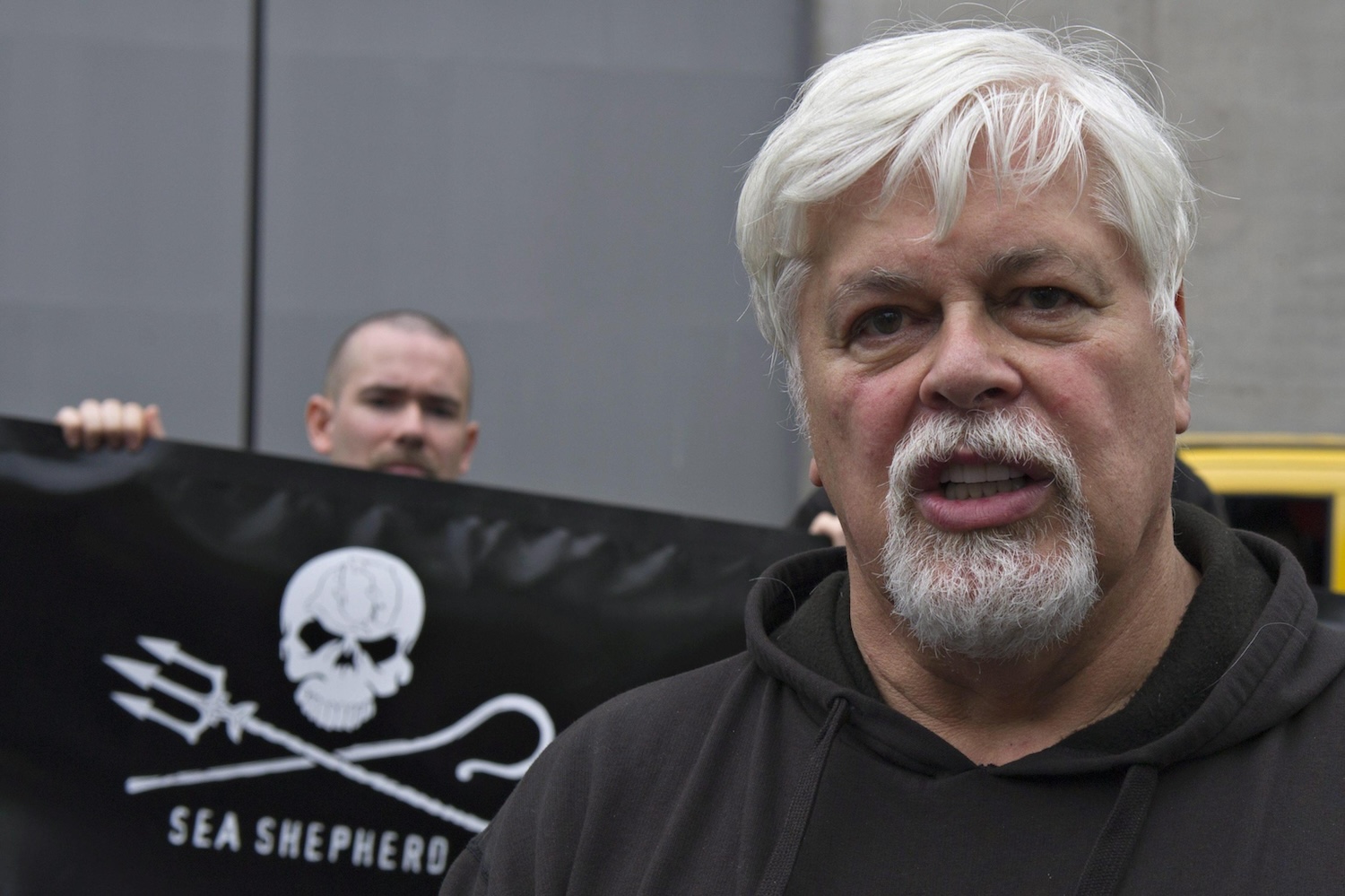 El cofundador de Greenpeace, Paul Watson, ha sido arrestado en Groenlandia y se enfrenta a la extradición a Japón por cargos contra la caza de ballenas.