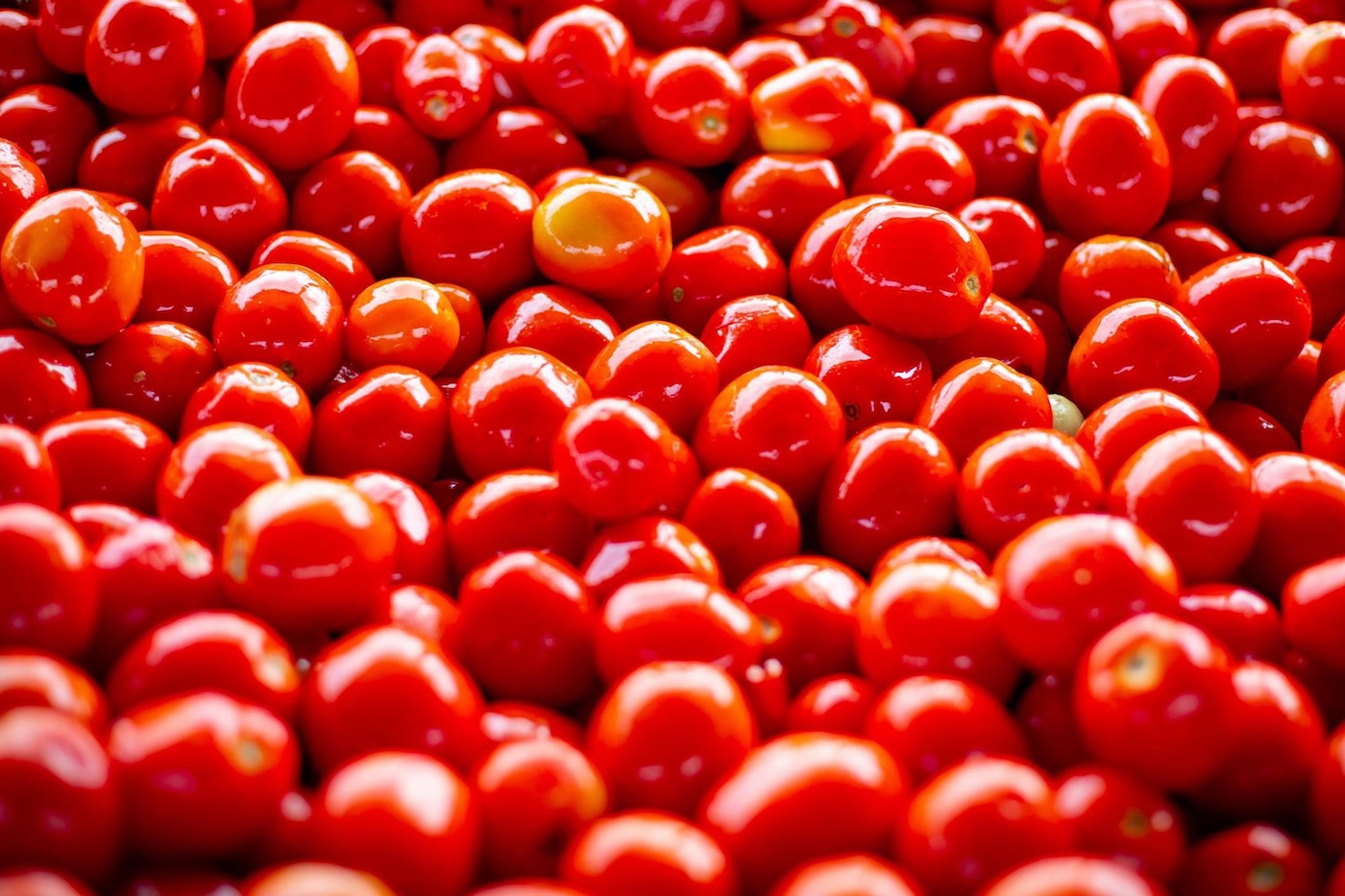 https://static.open.online/wp-content/uploads/2024/10/passata-pomodoro-ue-cina.jpg