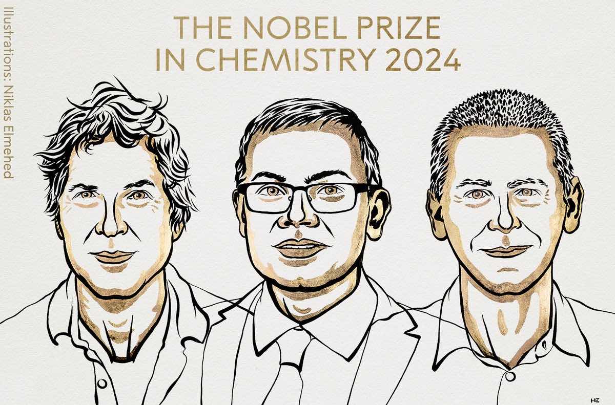 premio nobel chimica 2024 Davide Baker, Damis Hassabis e John M. Jumper struttura proteine