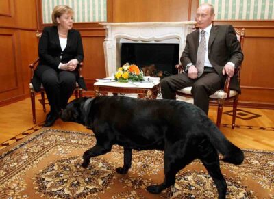 putin merkel cane scuse