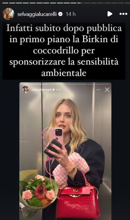 Lucarelli foto borsa coccodrillo Ferragni