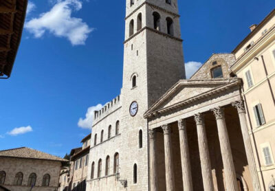 assisi reintegro licenziamento