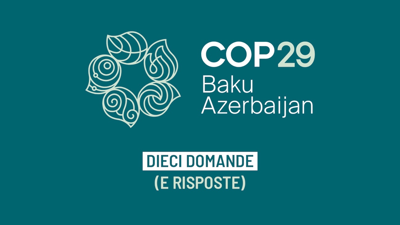 cop29 la guida