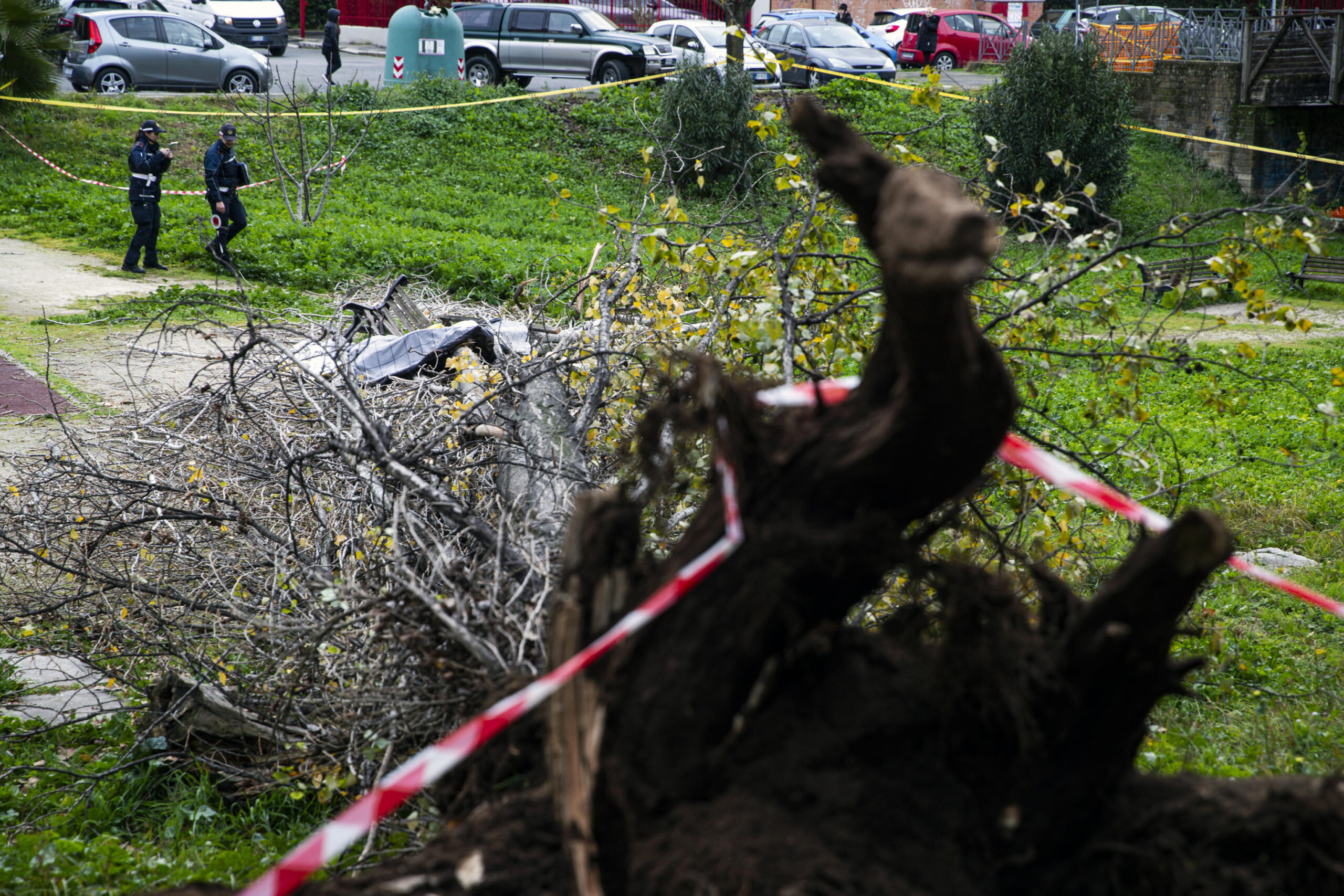 roma inchiesta comune albero caduto