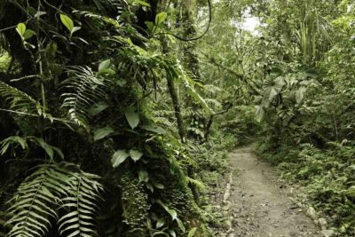 amazzonia popoli indigeni