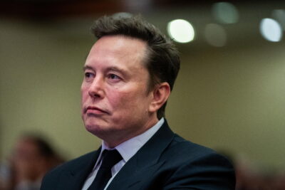 elon musk afd articolo giornale tedesco