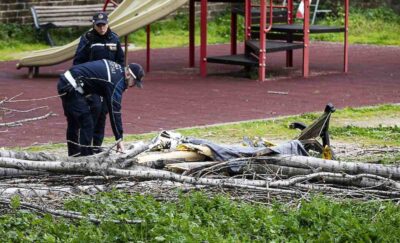 francesca ianni mamma uccisa albero caduto roma